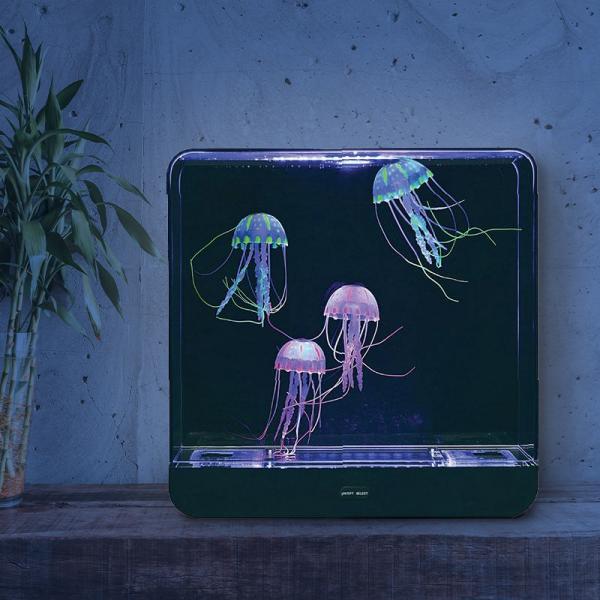 Large jellyfish aquarium - square