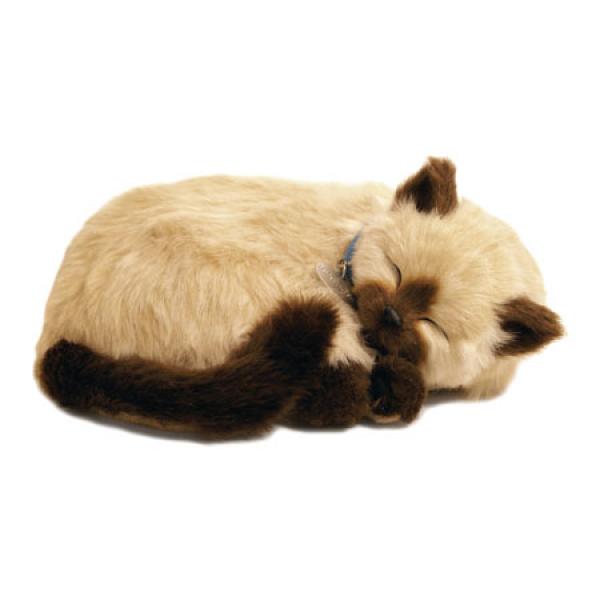 Perfect Petzzz soft Siamese cat