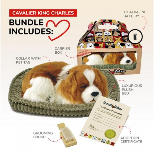 Perfect Petzzz soft Cavalier King Charles