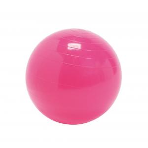 Gymnic - Therapy Ball 30 cm Pink