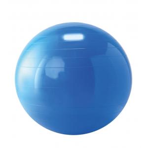 Gymnic - Therapy Ball 65 cm Blue