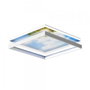 LED Ceiling panel 60 x120 cm