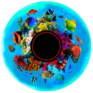 Magnetic Effect Wheel - Tropical Fish