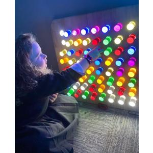 Buy Wall hanging sensory light panel with coloured rods - Nenko